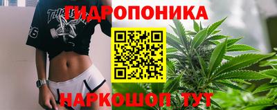 PSILOCYBIN Малоярославец